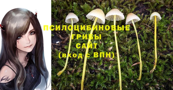 кокаин колумбия Алзамай