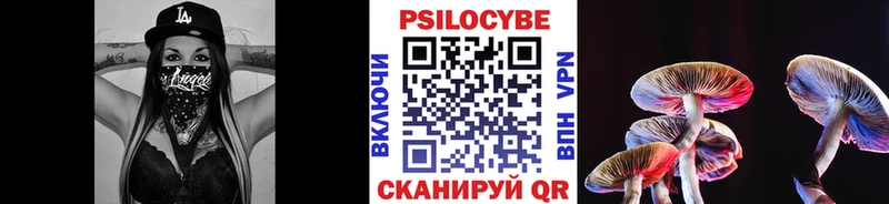 Галлюциногенные грибы GOLDEN TEACHER  omg ссылка  Карачев 