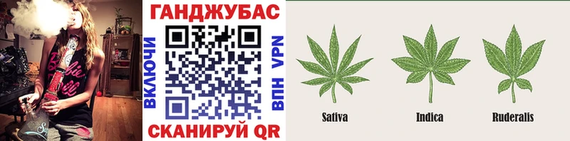 Шишки марихуана планчик Карачев